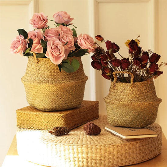 Cache_pot_osier-garni