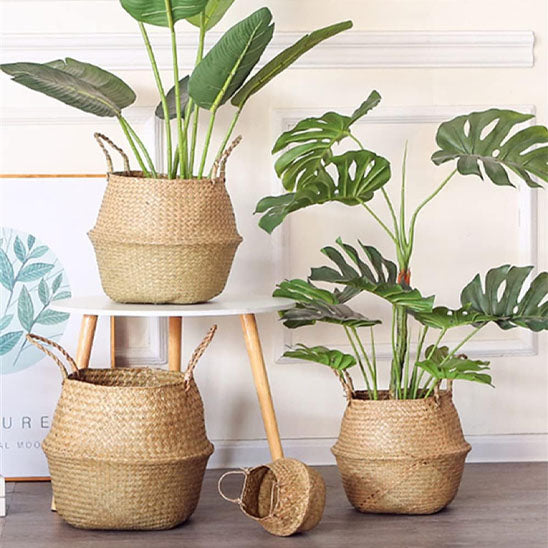 Cache_pot_osier-table