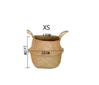 Cache_pot_osier_-_XS