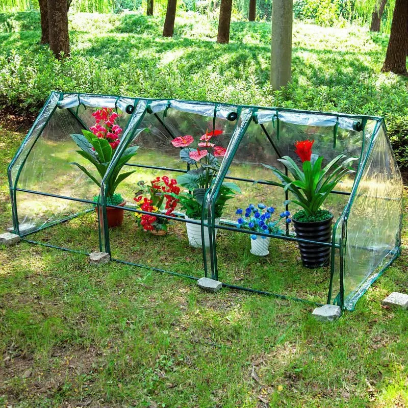 Mini-serre-de jardin-fleurs