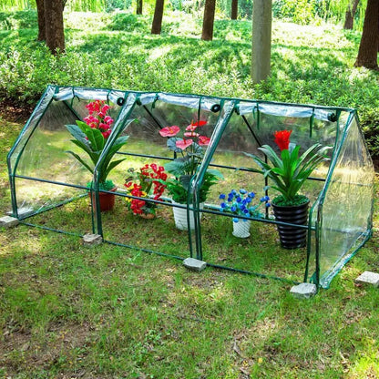 Mini-serre-de jardin-fleurs