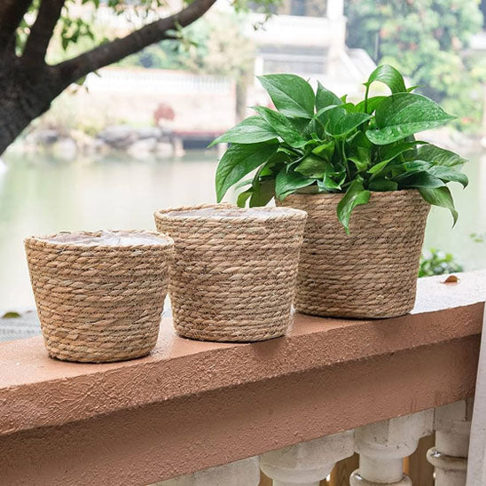 Pot-de-fleur-interieur-dehors