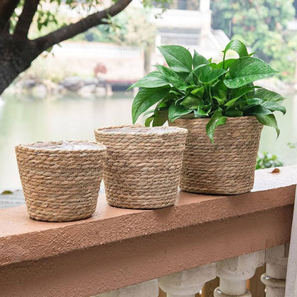 Pot-de-fleur-interieur-dehors