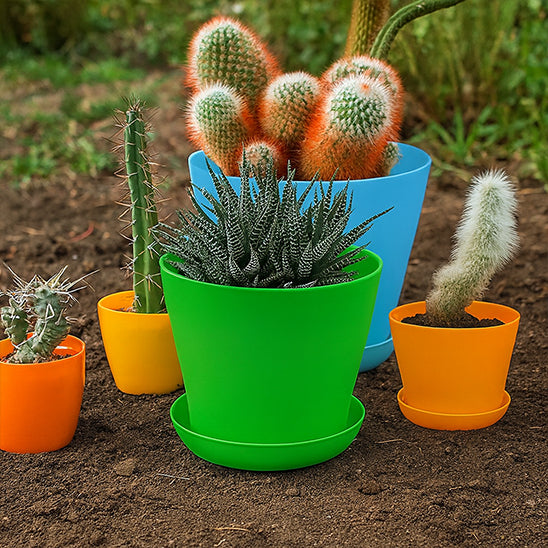 Pot-de-fleurs-plantes