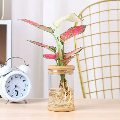 Pot de feurs - table