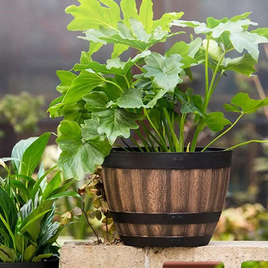 Pot_de_fleur_exterieur-lumiere