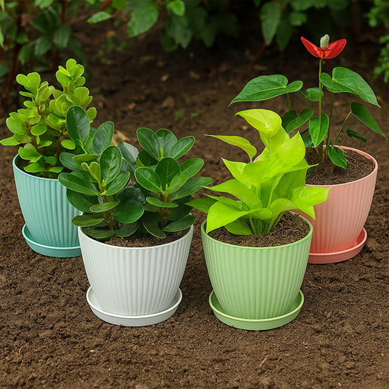 Pot_de_fleur_interieur-colores