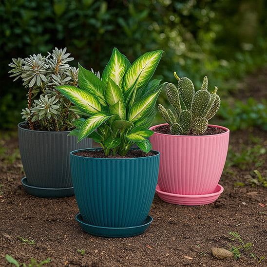 Pot_de_fleur_interieur-plantes