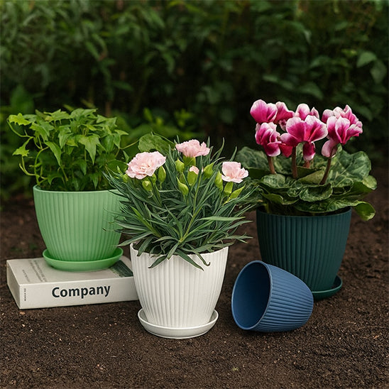 Pot_de_fleur_interieur-sombre