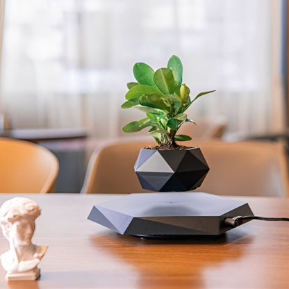 Pot_de_fleur_interieur_-_bureau