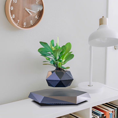 Pot_de_fleur_interieur_-_etagere