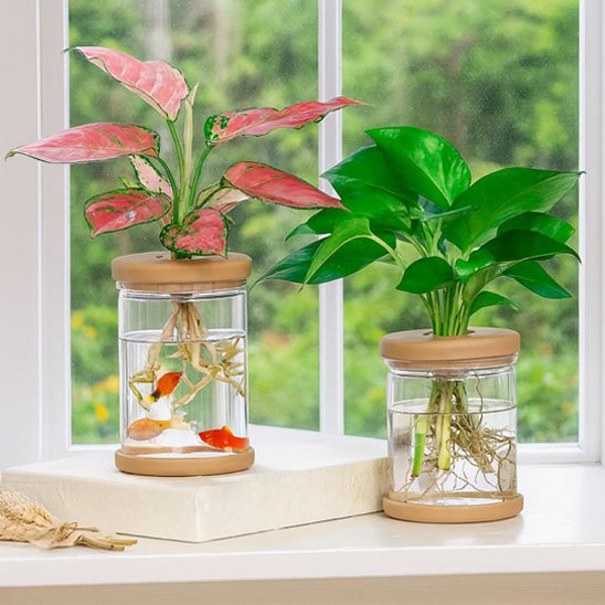 Pot de fleurs - balustrade