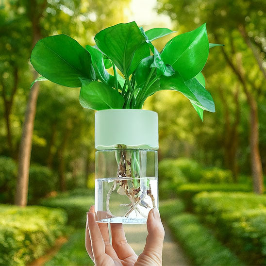 Pot_de_fleurs_-_nature