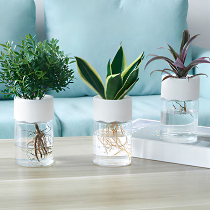 Pot_de_fleurs_-_table 1