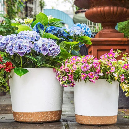 Pots_de_fleurs_-_blancs