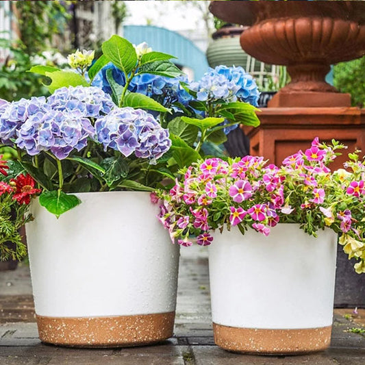 Pots_de_fleurs_-_blancs