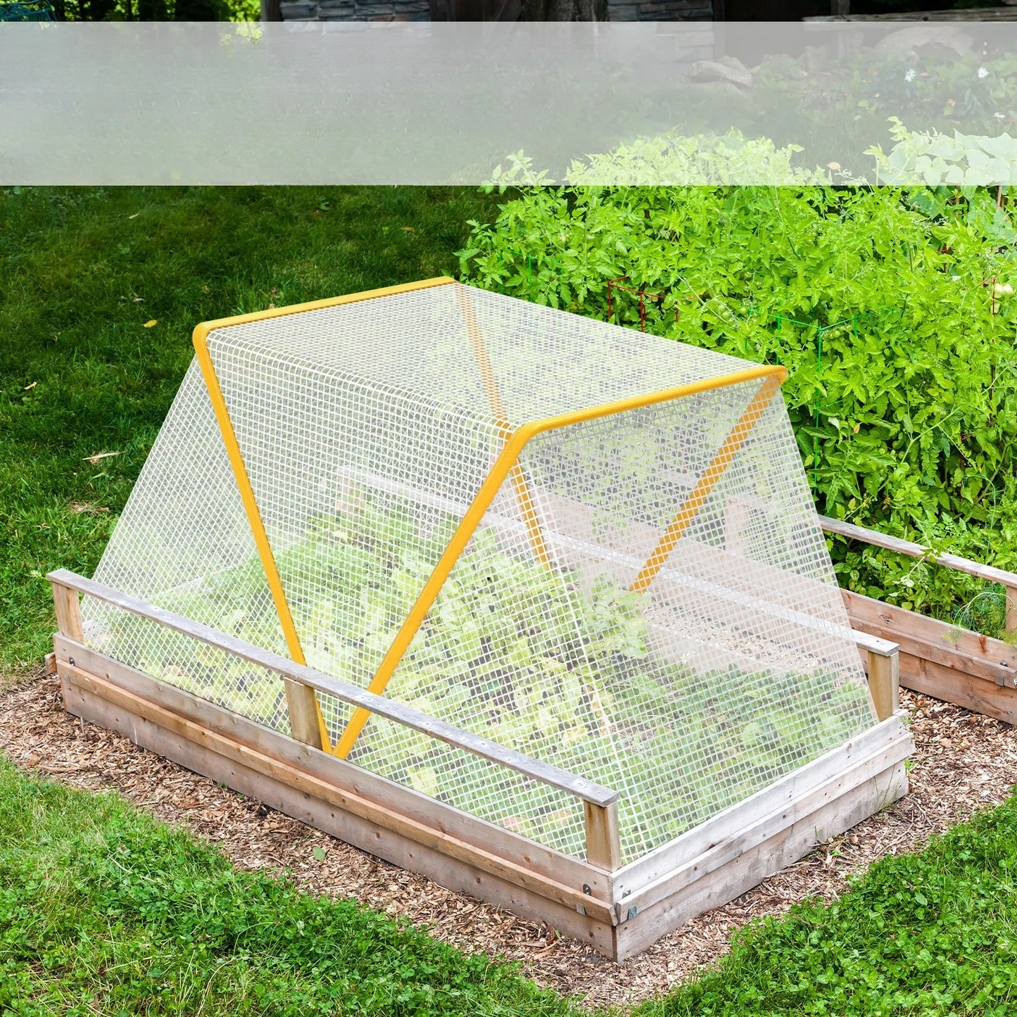 Serre_de_jardin_mini-salades