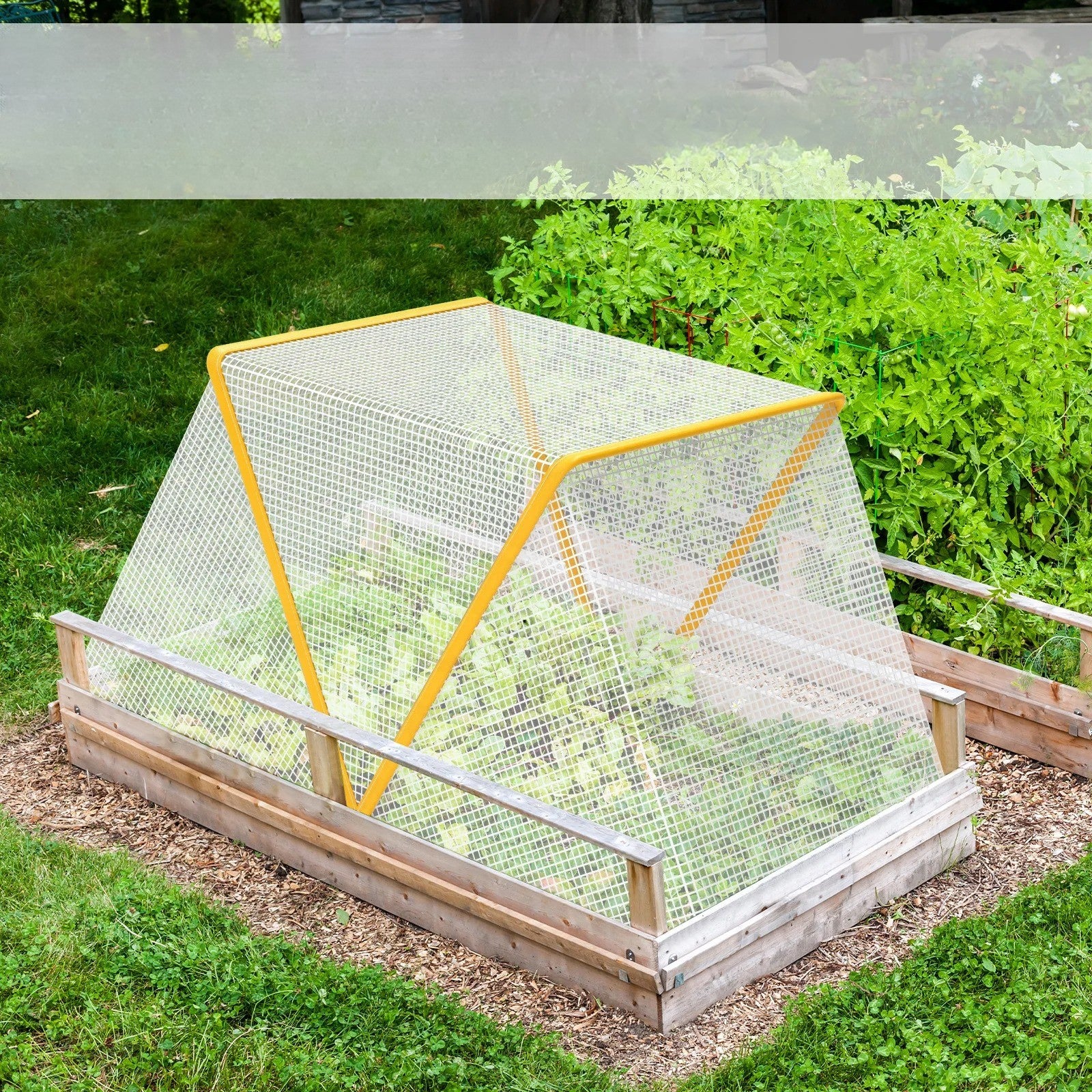 Serre_de_jardin_mini-salades