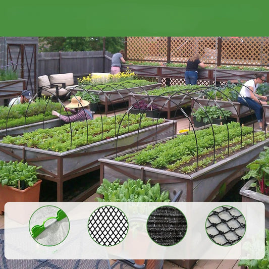 Serre_tunnel_de_jardin_-_plantation