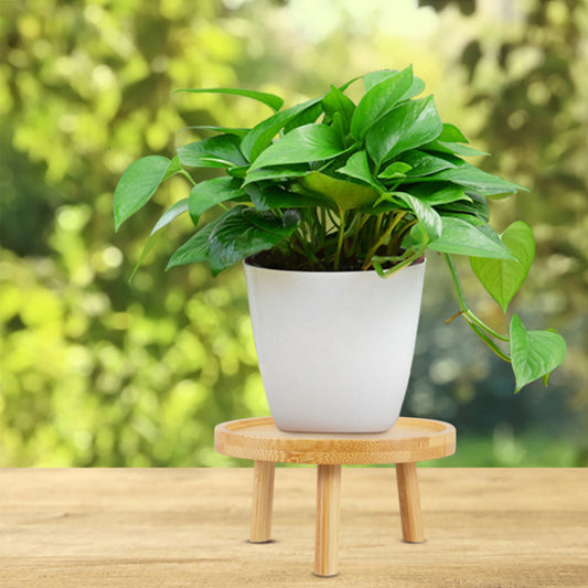 Support_pour_pot_de_fleur-dehors