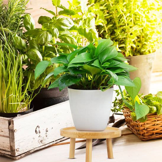 Support_pour_pot_de_fleur-plantes