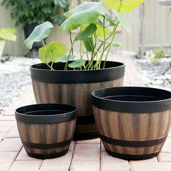 potdefleurexterieur-air